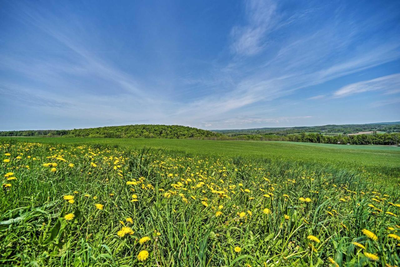 Country Escape With Sauna, 10 Mi To Cooperstown Richfield Springs Extérieur photo