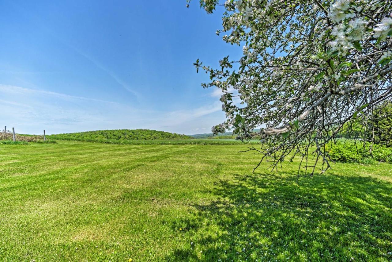 Country Escape With Sauna, 10 Mi To Cooperstown Richfield Springs Extérieur photo
